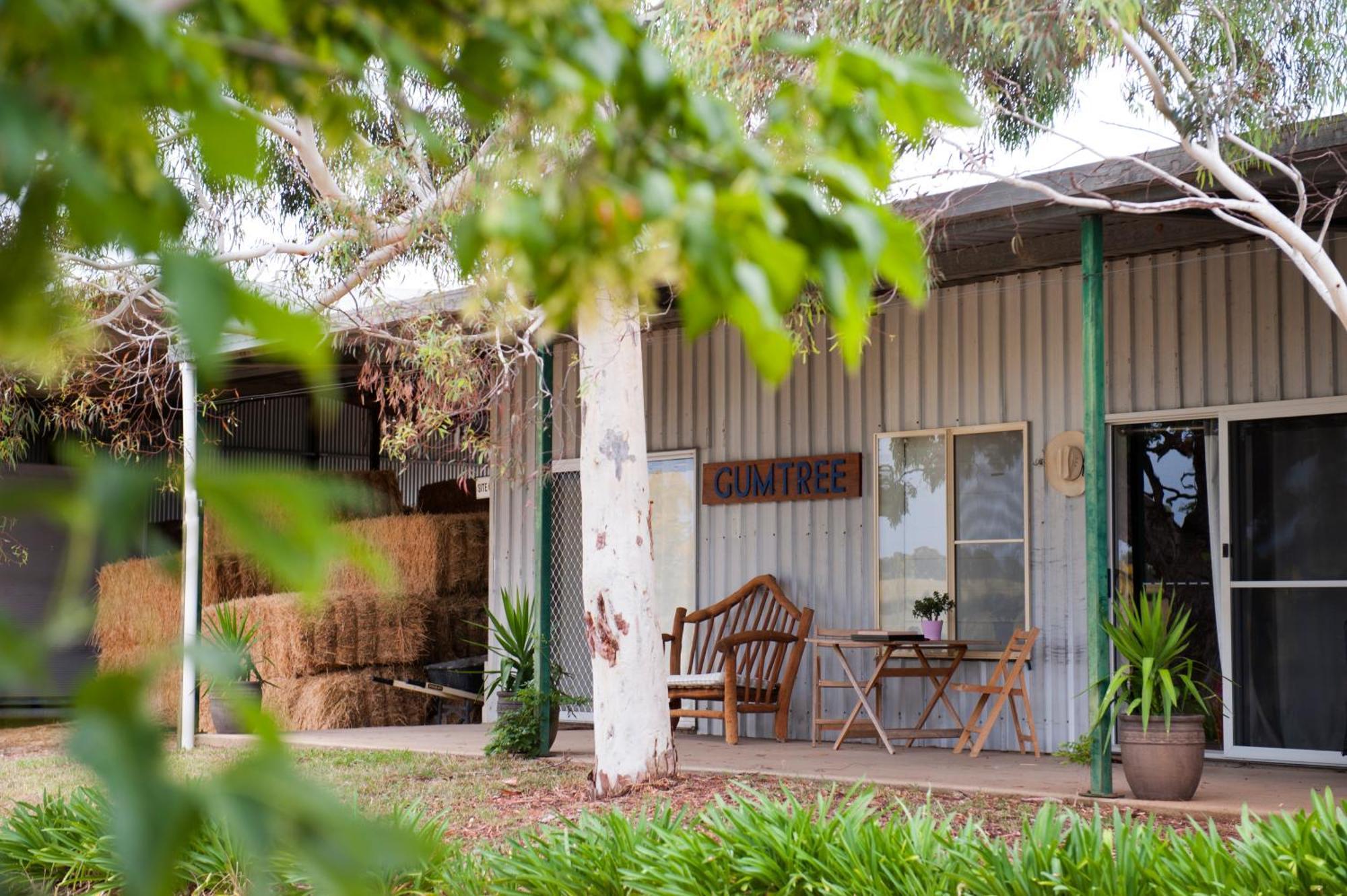 Willa Peppertree Farm Mudgee Zewnętrze zdjęcie