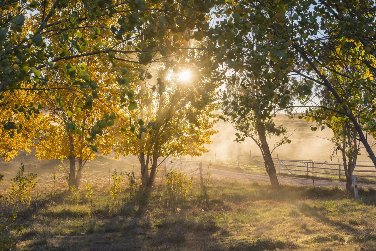 Willa Peppertree Farm Mudgee Zewnętrze zdjęcie
